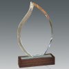 Galvano Cristal Base de Madera - Imagen 3